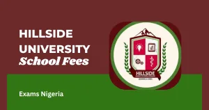 Hillside University of Science and Technology School Fees 2026/2027: